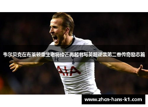 韦尔贝克在布莱顿重生老将锋芒再起书写英超逆袭第二春传奇励志篇 韦尔贝克在布莱顿重生老将锋芒再起书写英超逆袭第二春传奇励志篇
